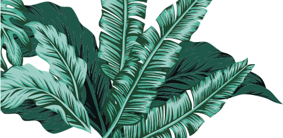 LJ's plant graphic