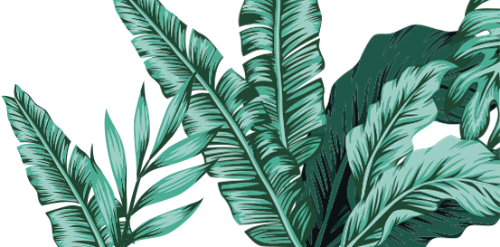 LJ's plant graphic