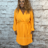 Stacey Short Pleated Dress best fits 14-22 - Image 4