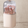 Dust-proof brush holder