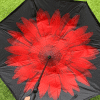318 Red flower upside down brolly