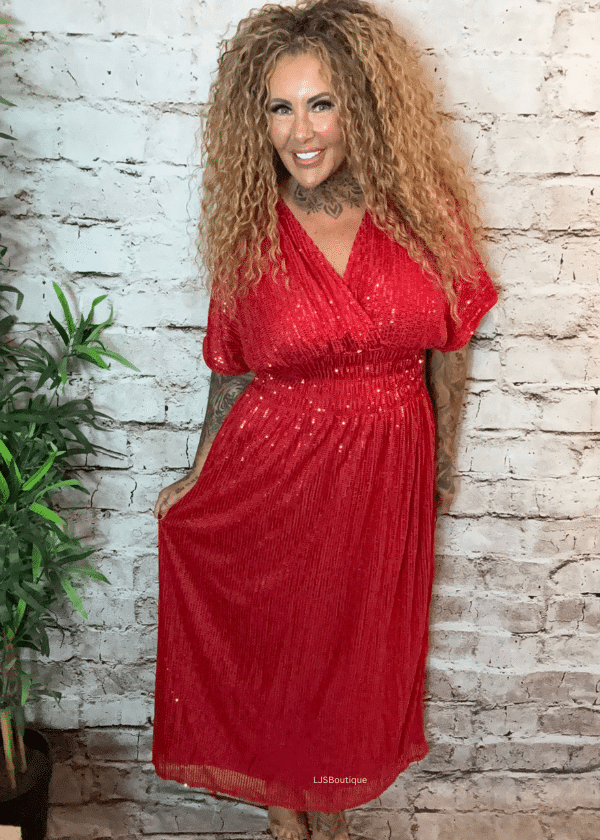 Blitzen Short Sleeved Sparkle dress best fits 12-20 - Image 3