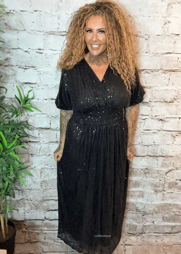 Blitzen Short Sleeved Sparkle dress best fits 12-20