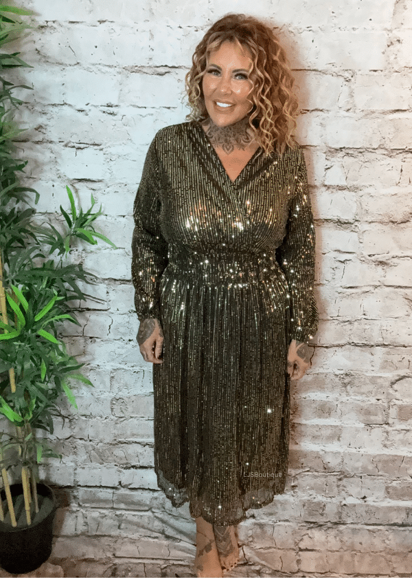 Vixen sparkle dress best fits 12-20