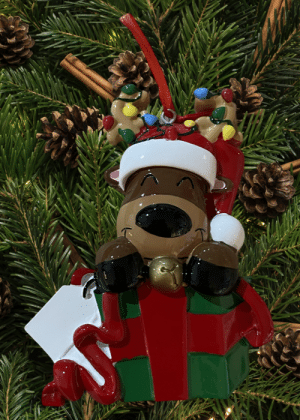 Rudolph-Personalized Christmas Tree Decorations