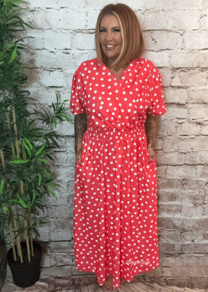 Resse spotty dress Best Fit Sizes 14-22
