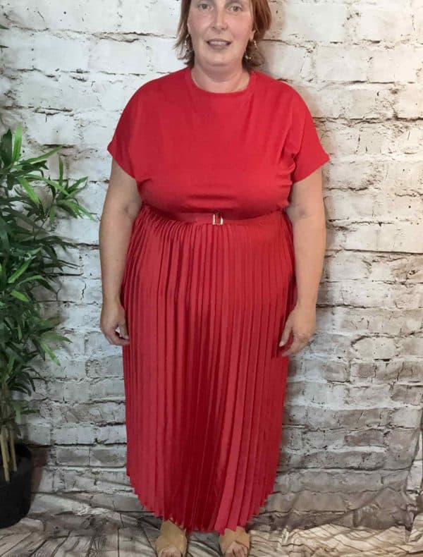 NAVY Bianca Pleated Dress best fits 12-20 - Image 4