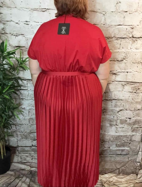 NAVY Bianca Pleated Dress best fits 12-20 - Image 3