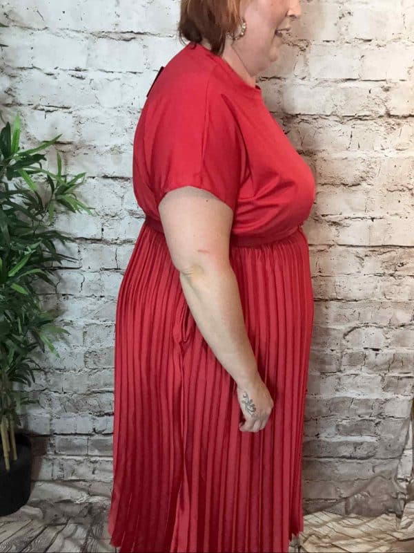 NAVY Bianca Pleated Dress best fits 12-20 - Image 2