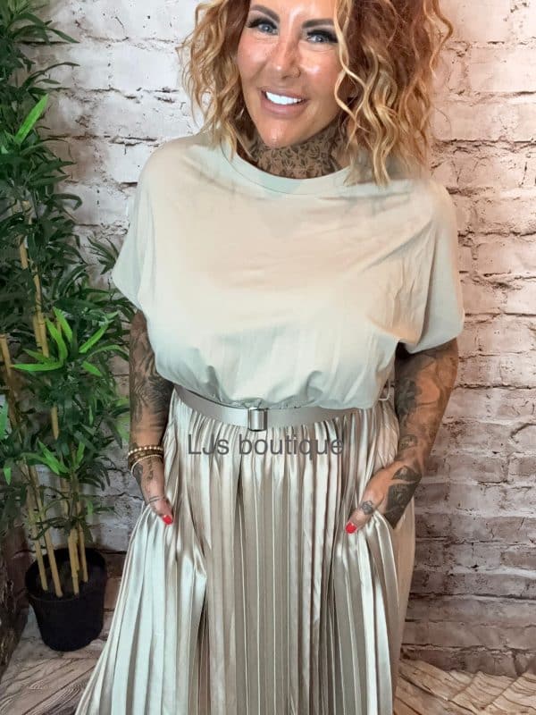 STONE Bianca Pleated Dress best fits 12-20 - Image 3