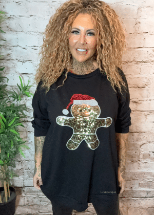 Gingerbread sweater top 16-24