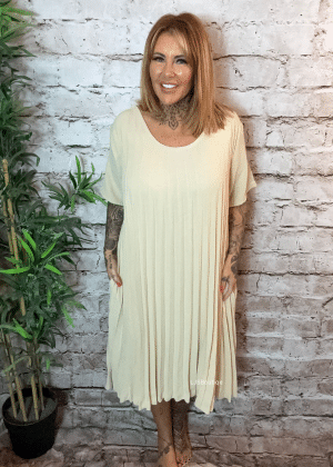 Jenny pleated dress best fits 16-24